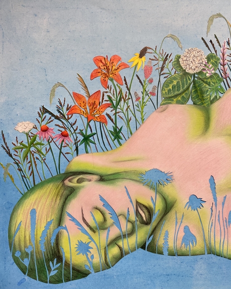 Drawing of pink and green woman laying in field of flowers