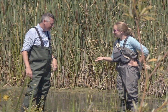Two people wearing waders standing in a wetland