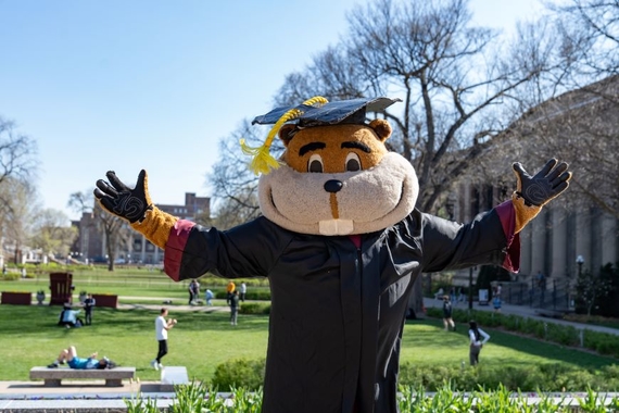 Goldy in graduation robes, outside on campus during a sunny day