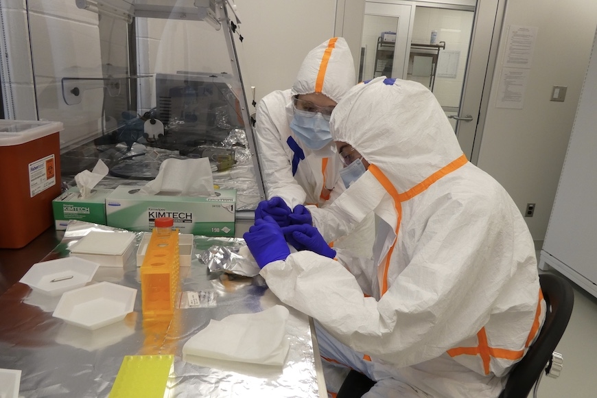 Two students working in the Sampling Room of the Ancient DNA Lab, fully covered and wearing masks.