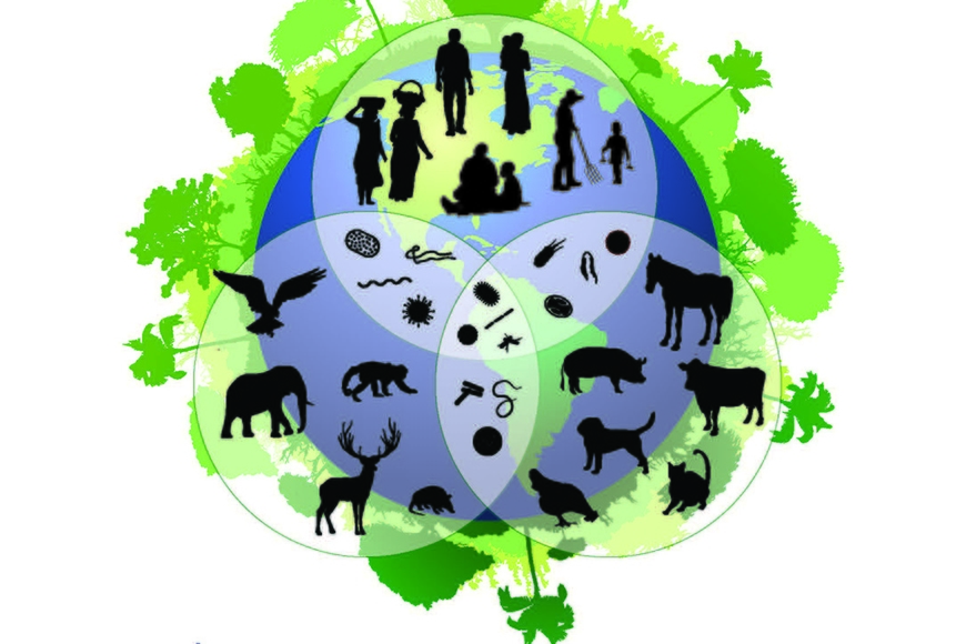 People, plants, and animals intersect on a planet.