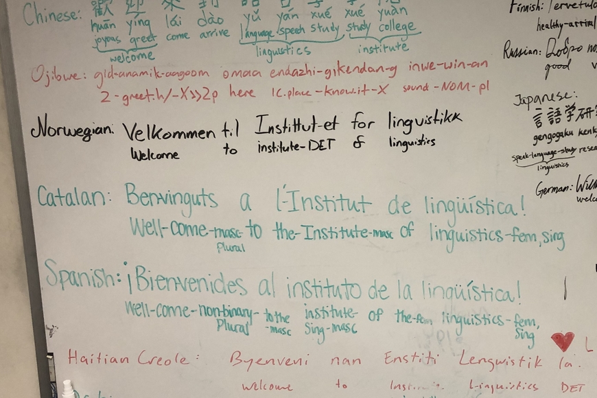 Linguistics Lounge 'phrase of the week' in many languages