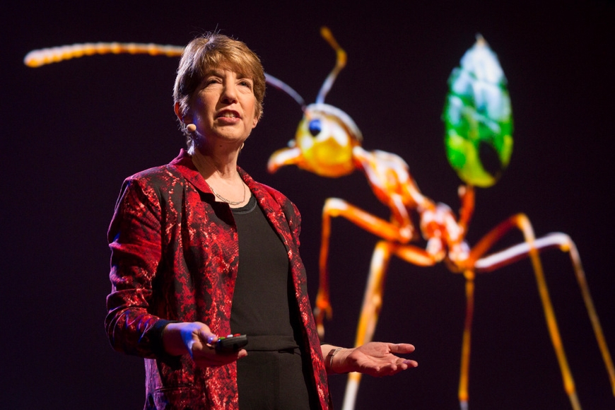 Professor Marlene Zuk, presenting at a TED talk in 2019. A large ant carrying a leaf in projected in the background
