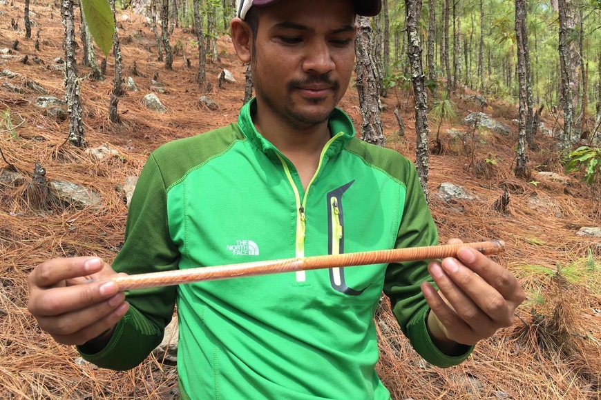 Photo of Uday in forest