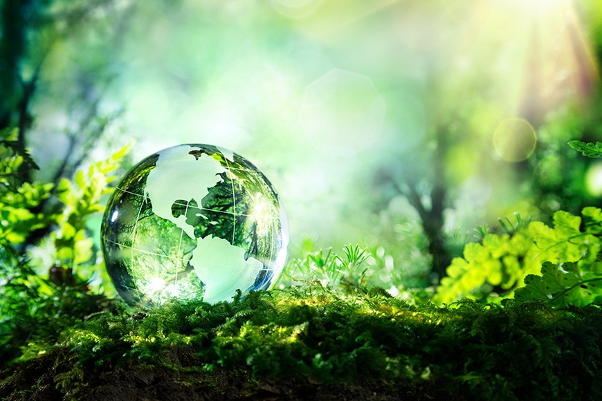This is a picture of a small, transparent world in a woodland setting.