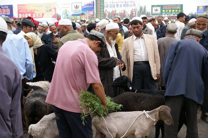 Many Uyghur people and goats in a Kashgar, China livestock market with advertising billboards in the background.