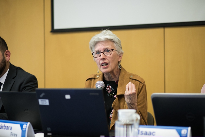 Human Rights Program Director Barbara Frey speaking on a panel at the Facultad Latinoamericana de Ciencias Sociales (FLACSO-México) Conference (2019).