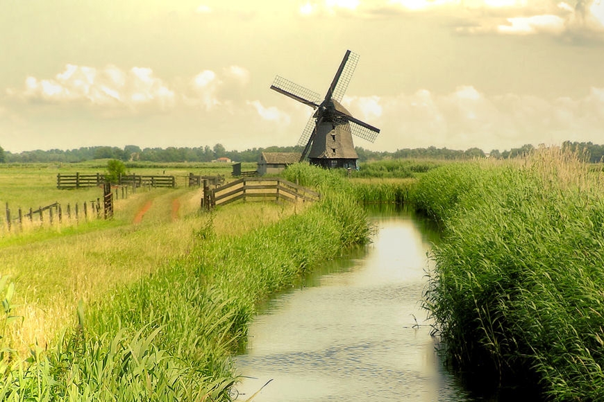 Dutch landscape (Cronk)