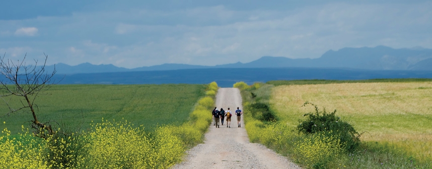 Photo of a group of students hiking on a gravel road with fields on either side and mountains in the distance