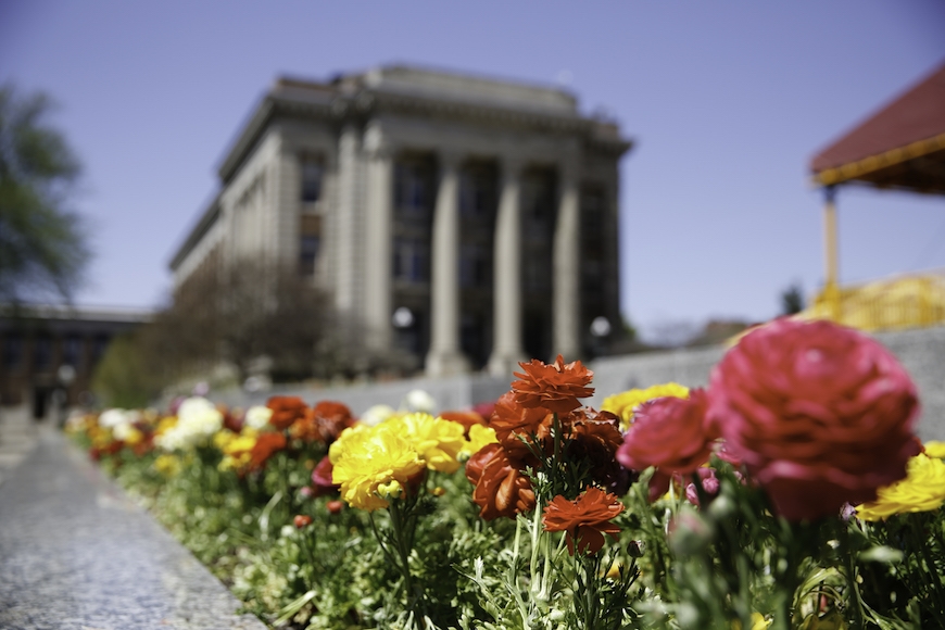 Flowers with Johnston Hall in the background