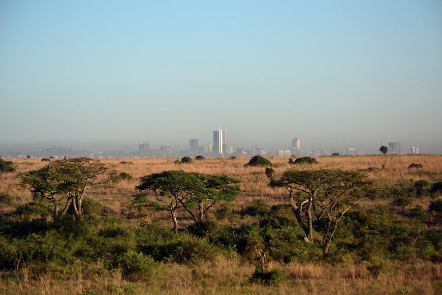 A photo of a dusty brownish red landscape dotted with trees with a a cityscape featuring tall buildings in the background