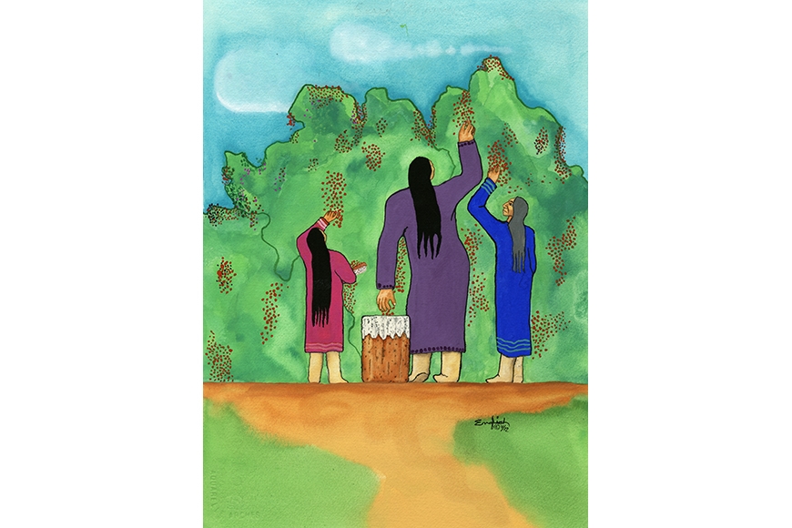 Three Ojibwe women pick berries from a large bush and place them into a basket at the central figure’s feet.