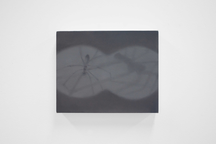 gray-scale painting of a spider and its shadow