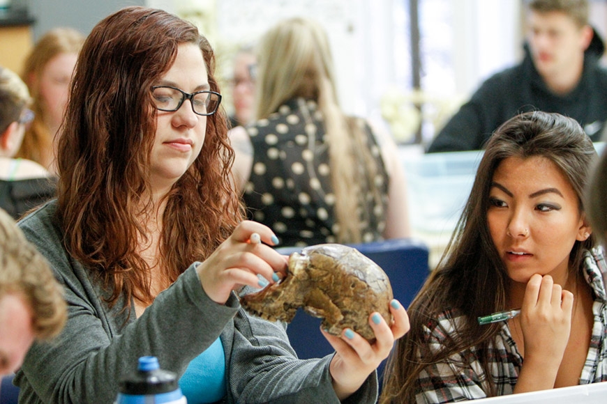 Students in anthropology lab