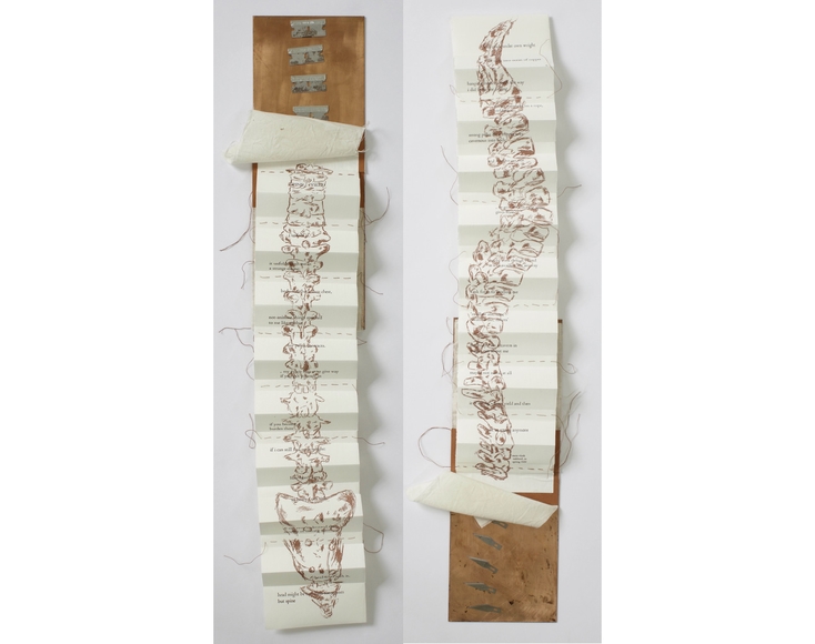 Vertical book art of side and front views of human spine drawn on accordioned paper