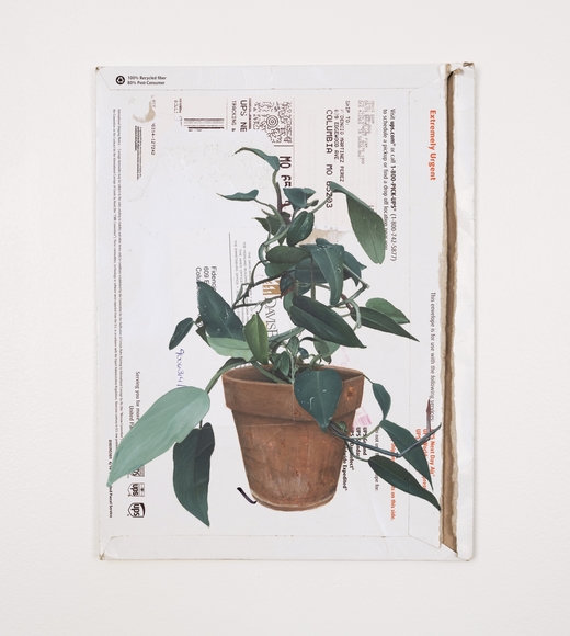 Painting of a potted plant on a USPS envelope that has been opened