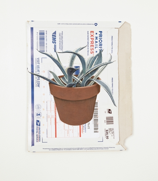 Painting of a potted plant on a USPS envelope that has been opened
