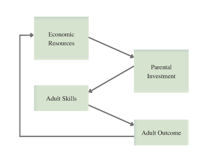 Flowchart showing economic resources leading to parental involvement leading to adult skills leading to adult outcome, which circles back to economic resources at the top of the flowchart