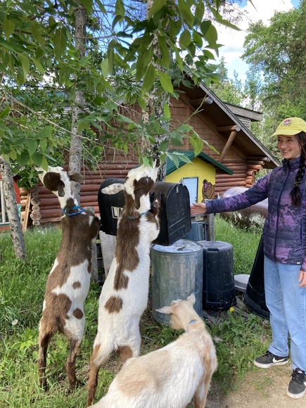 Isabel Huot-Link (MHR '23) with three goats.