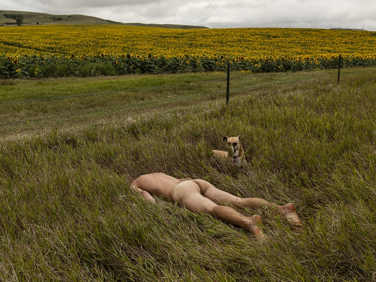 Photograph of a male body laying naked face down in the grass of a lush, agricultural landscape. A dog lays on its belly next to the right side of the figure.
