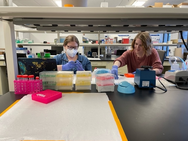 Photo of two researchers working in the lab