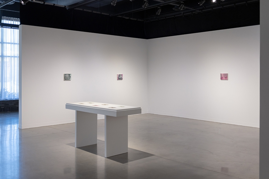 Installation view of Julia Maiuri's paintings in the Nash Gallery