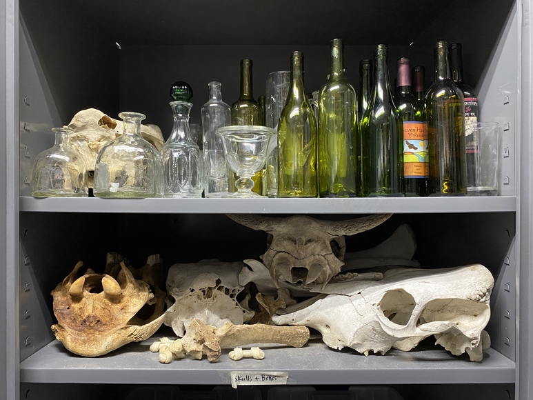 Animal skulls, bones, and wine bottles on a cabinet shelf