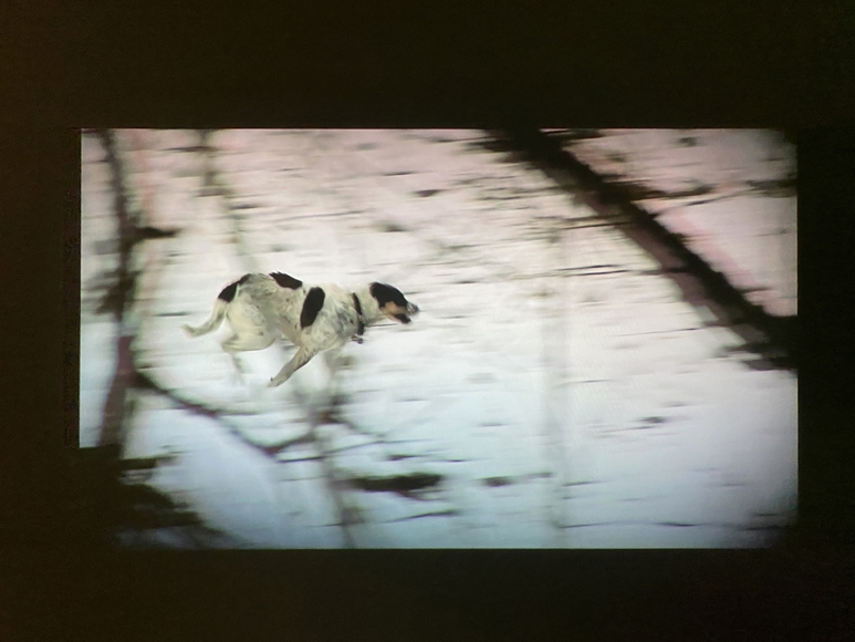 Film still of a dog running through winter woods