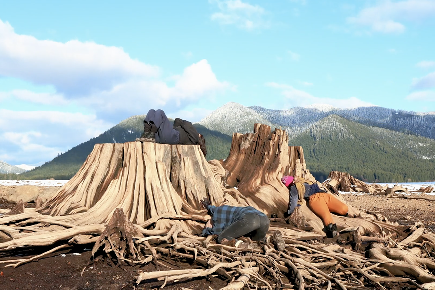 Three people lay across the roots of a giant tree stump, bright blue skies and mountains in the background