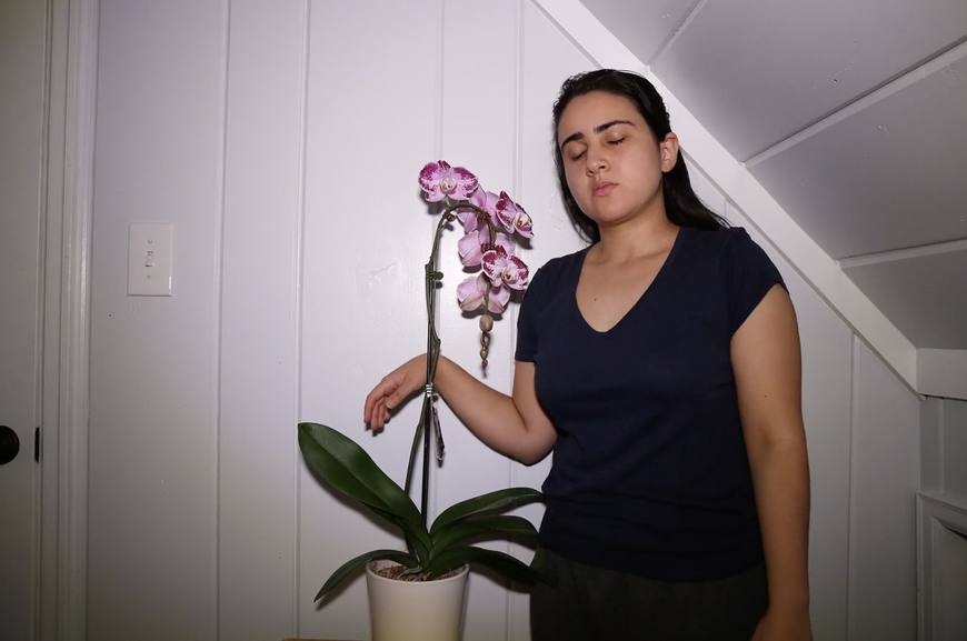 Woman standing in a white room next to a pink orchid with her eyes closed