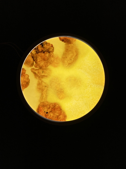 Yellow circle of abstracted petri dish imagery on a black background