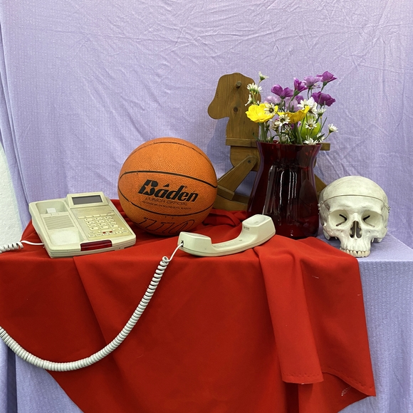 Still life display of telephone, basketball, skull, and flowers on purple and red fabric