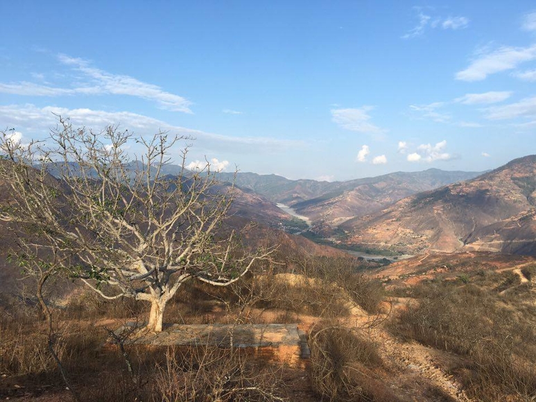 Wide, landscape view of Koshi River basin and its surrounds in Nepal. Dry tree and vegetation close to the camera. River and mountains far away.