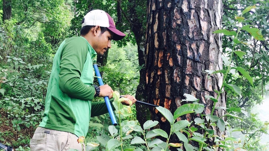 Photo of Uday Kunwar Thapa conducting research outdoors with a tree.