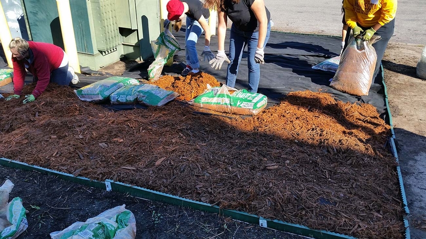 People laying down mulch