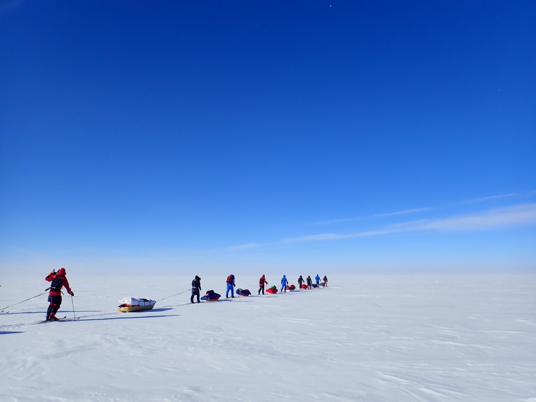 Antarctic group walking with sleds