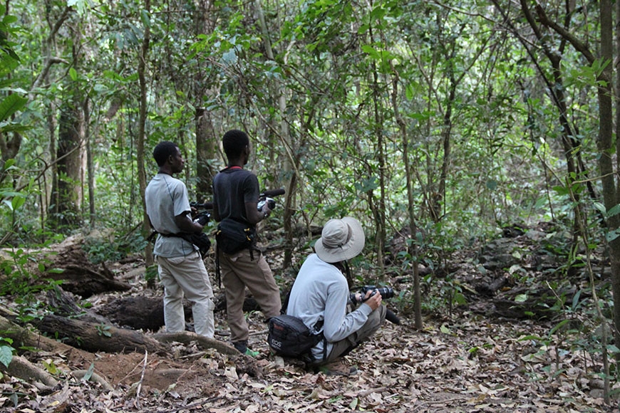 Desai and Gombe field assistants record pant-hoots in the African jungle.