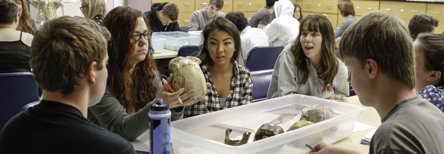 Five students examining skull in class