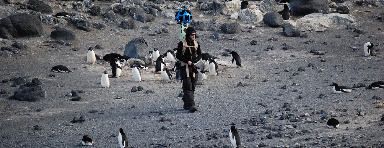 Photo of man using GIS equipment, surrounded by penguins
