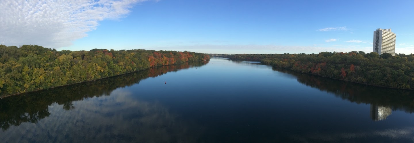 View of Mississippi River, trees and horizon