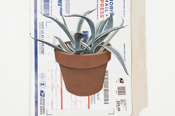 Painting of a potted houseplant on a used USPS envelope