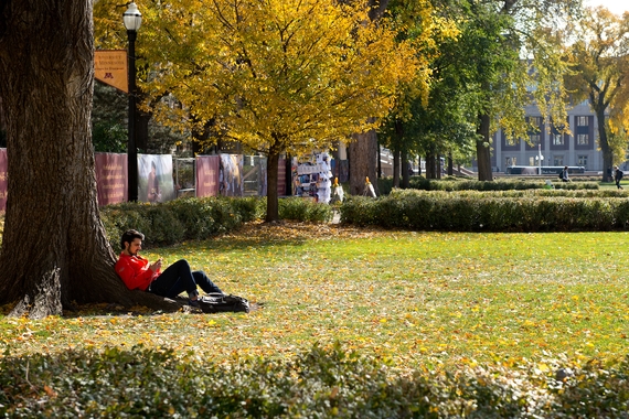 A student sits in the grassy commons of east bank campus, with fall colors behind. 