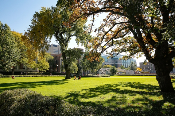 The University Mall in fall, with some students sitting in lawn chairs or walking down paths, several University buildings in the far distance