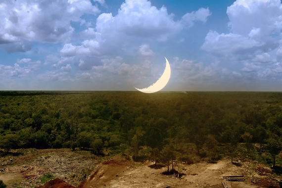 24 Environmental Cultural Studies Moon Still