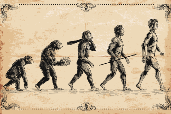 illustration of human evolutionary progression