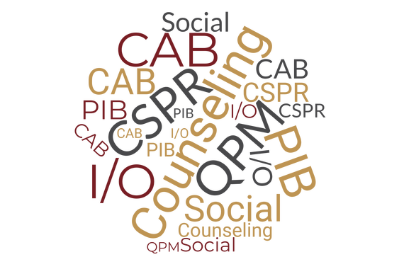 Word Cloud containing these words and acronyms: Social, CAB, PIB, CSPR, Counseling, QPM, I/O
