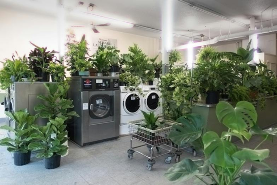 Plants are placed on top a washer and dryer in Professor Tetsuya Yamada's latest pop up exhibition.