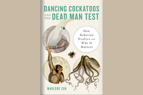Dancing Cockatoos and the dead man test book cover