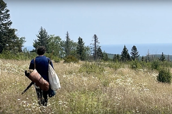 Person seen from back carrying two bags and walking in weedy field with evergreen trees in distance and blue sky and lake