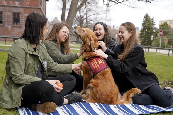 A dog with reddish fur wearing a service-animal harness sits on a blanket outside as 4 smiling women pet it.